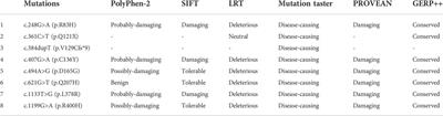 Clinical, biochemical, and molecular genetic characteristics of patients with primary carnitine deficiency identified by newborn screening in Shanghai, China